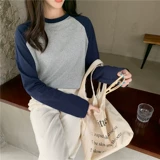 Осенний лонгслив для отдыха, в корейском стиле, свободный крой, популярно в интернете