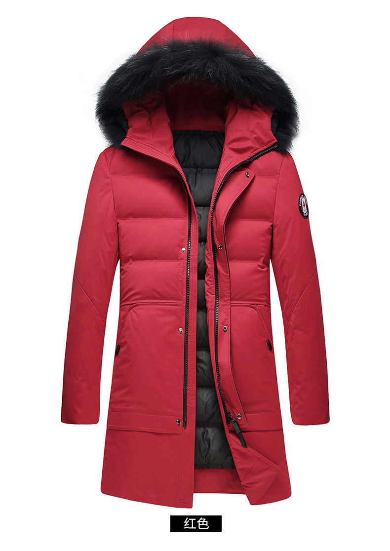 Blouson homme ROMON   - Ref 3120810 Image 27