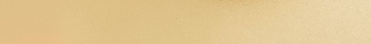 【中國直郵】八馬茶葉 新品江門新會 小青柑福鼎白茶壽眉 36g