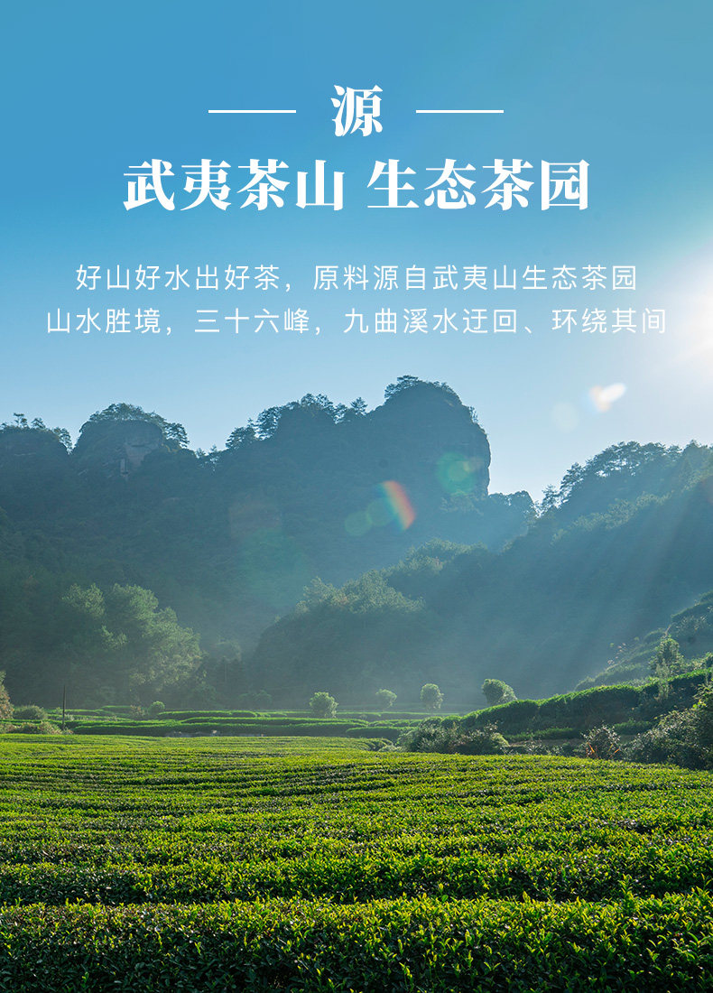 八馬茶業 武夷山岩茶 特級肉桂 烏龍茶 王信記岩苛系列1000-肉桂 256g/盒 禮盒裝 過節送長輩送親屬必備