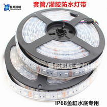 LED5050 glue filling soft light with IP68 waterproof soft light strip low pressure 12V underwater fish tank swimming pool landscape