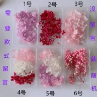 Розовая гортеня 1 коробка цвета случайного цвета