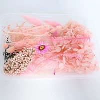 Розовый, широкая цветовая палитра