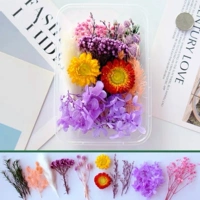 Роза красный, как показано на рисунке 3 3