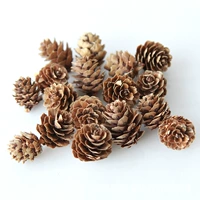 25 лиственная сосна