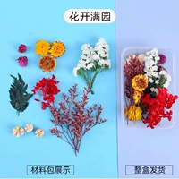 Светло -серый полный сад