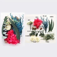 Флуоресценция зеленый цвет цвет сухой цветок 8