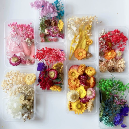 Вечная жизнь цветочный цветок