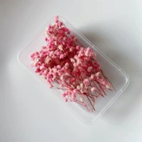 Розовый полный звезд