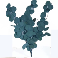 Синий яблочный луч листа