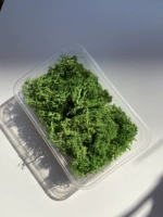 Emerald Green Moss 20G