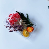 Цветы похожи на парчу → сухие цветы