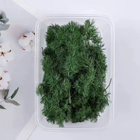 Eternity Ink Green Penglai Box