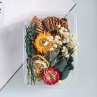 Темно -фиолетовые картинки цвета сухой цветок 18