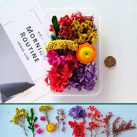 Синий, как показано на рисунке 2