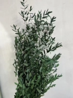 Зеленый штраф, ты лист Гали 1 куча