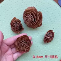 Армейская зеленая бревенчатая дерево роза 5 капсул