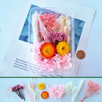 Фиолетовый как показано на рисунке 1