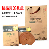 Changbai Mountain Ganoderma lucidum gift box pruning Ganoderma lucidum Yuanzhi linderia planting belt spore powder home base