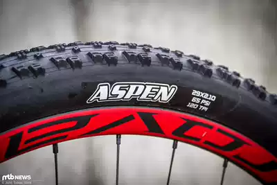 Maggis maxxis aspen 26 27 5 29 2 1 mountain bike folding vacuum tire 310