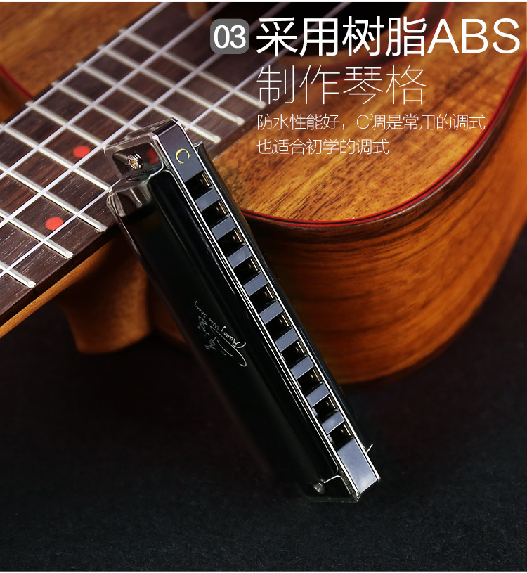 Swan 10 lỗ blues hòa tấu C trẻ em học sinh người mới bắt đầu blues mười lỗ nhập nhạc cụ hòa tấu - Nhạc cụ phương Tây đàn guitar morris