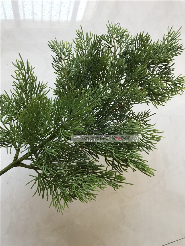 Mô phỏng kim thông, cành thuja, chậu giả, cành thông, đạo cụ, hoa khô, hoa nhựa, lá thông, lá giả - Hoa nhân tạo / Cây / Trái cây cây xương rồng giả