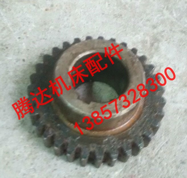 Hangzhou Qianjiang Machine Tool Factory Zw3725`Zw3225 Drilling Machine Parts A22320 Gear Z31/M2/Hole 25/L27