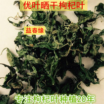 Eat dried wolfberry leaves 100 grams wolfberry vegetables dried in the sun Medicine-based if tea and soup need to be picked and dried now