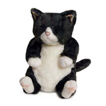 Japan direct delivery Cuddly super cute cute little Somei (Chibisome) plush cat doll 26cm