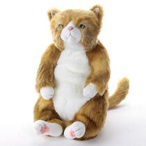 Japan direct delivery Cuddly (Kadri) soft (Wasabi) cute cat plush doll about 45