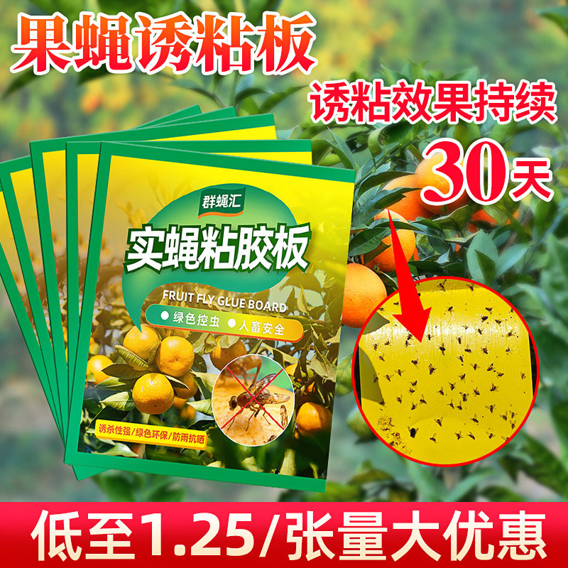 Two-sided viscosity adhesive pest fly induces yellow plate viscose plate fruit fly trap