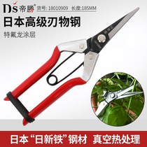  Sagawada fruit picking scissors straight head upturned head long blade pruning scissors fruit picking thin fruit cutting branch cutting fruit tree cutting bonsai cutting