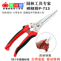 Pruning shears grape shears long blade fruit bud scissors citrus fruit fruit fruit fruit vegetables scissors gardening tools