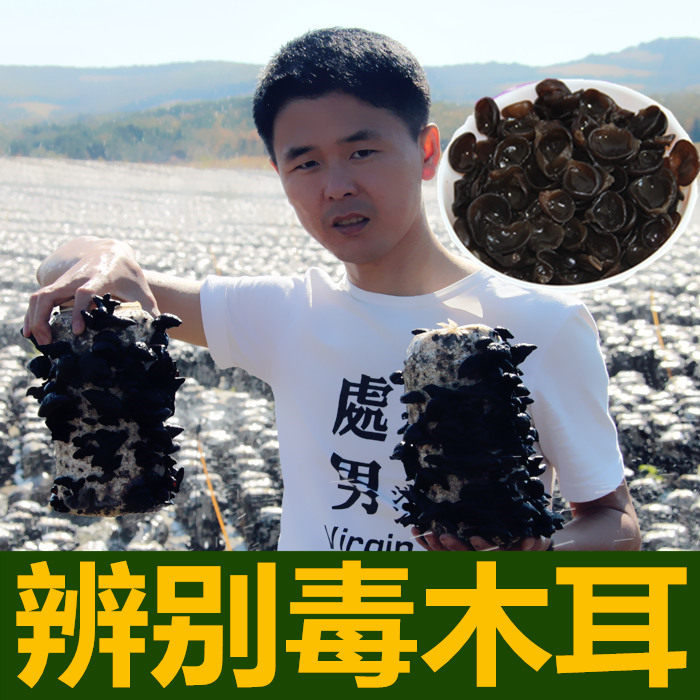 Northeast black fungus dried goods autumn fungus black mountain small bowl ear farmer self-produced non-root special grade wild ear 250g
