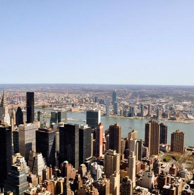 DandeLion Original New York Postcards(Sold out)