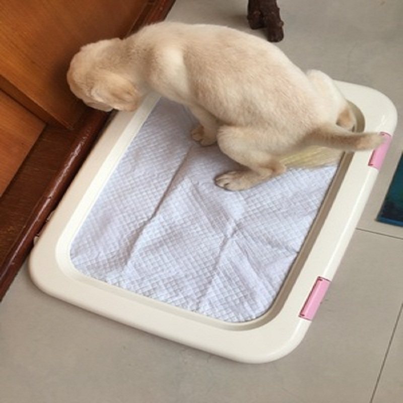 ALICE IRIS Pet Teddy Dog Toilet Small Canine flat urine potty Alice Bear Bull pit bull toilet