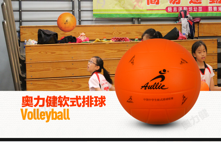 Ballon de volley-ball - Ref 2016762 Image 3