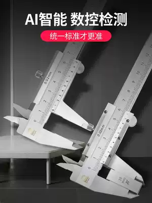 Guanglu high precision vernier caliper 300mm Mini small household stainless steel industrial grade 150 wenplay ruler