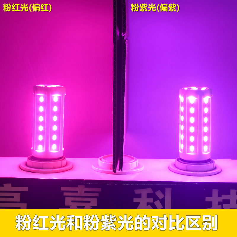 Shengnengjia Led Pink Light Bulb Pink Purple Light Screw-Mount Corn Light Streamer Fill Light Atmosphere Romantic Mood Colorful Shengnengjia Led Pink Light Bulb Pink Purple Light Screw-Mount Corn Light Streamer Fill Light Atmosphere Romantic Mood Colorful