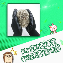 African Mini Hedgehog Pet Hamster Squirrel Anti-Stab Anti-Bite Gnibs
