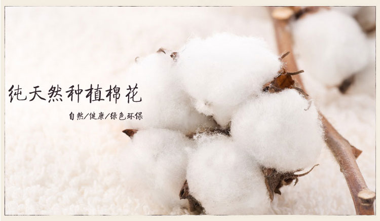 Nam cotton mỏng mùa hè vest thể thao nam thanh niên cotton đáy áo stretch trung niên áo thoáng khí