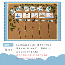 Kindergarten natural angle breeding angle breeding hydroponic planting area plant angle ring creation observation column