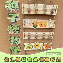 Large Class Scientific Zone Arrangement Awareness Seed Area Corner Materials in Kindergarten Plant Angle Ring Wound Wall Decoration