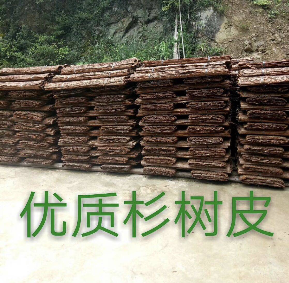 Kindergarten farmhouse project decoration Retro fir bark large decoration Forest department large column diy