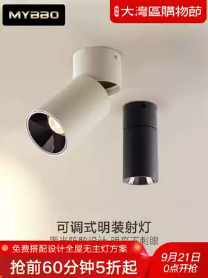 Simple modern LED spotlight walkway light living room bedroom anti-glare Wall washer ceiling type light ceiling type light