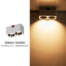 Настенные вниз свет 方形明装筒灯led双头射灯天花过道客厅无主灯照明方形盒子斗胆灯 Mybbo