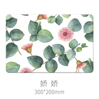 Цзяоцзяо 20*30см
