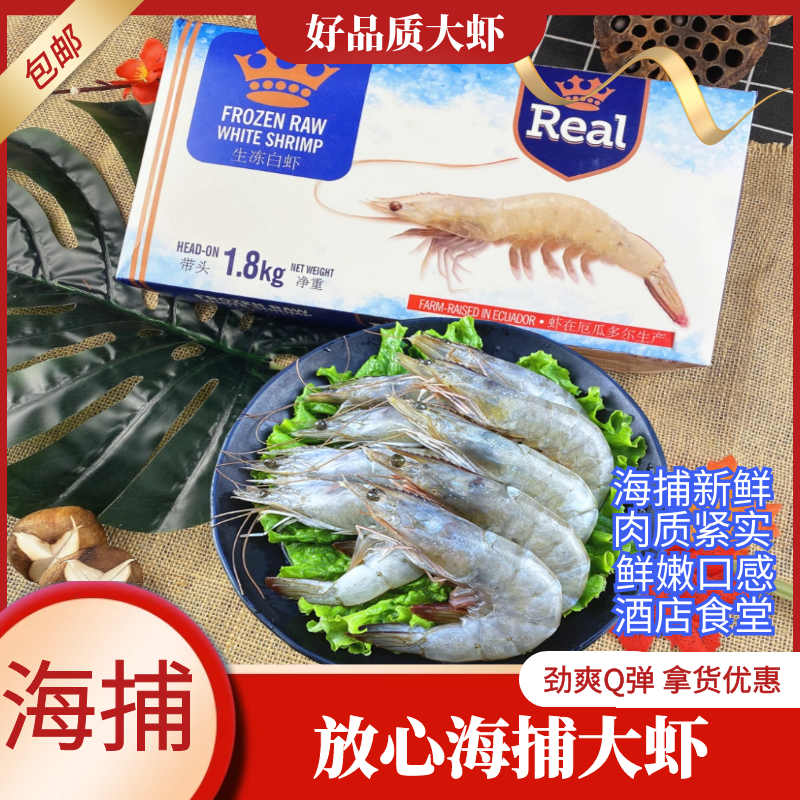 Deep-sea prawns, sea catches, shrimps, Ecuador 40, 50, white shrimps, prawns, fresh shrimps, fresh seafood, fresh seafood