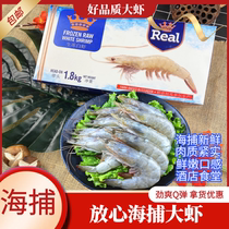Deep-sea prawn sea fishing base Wai shrimp Ecuador 40 50 white shrimp shrimp shrimp shrimp fresh seafood Seafood fresh seafood