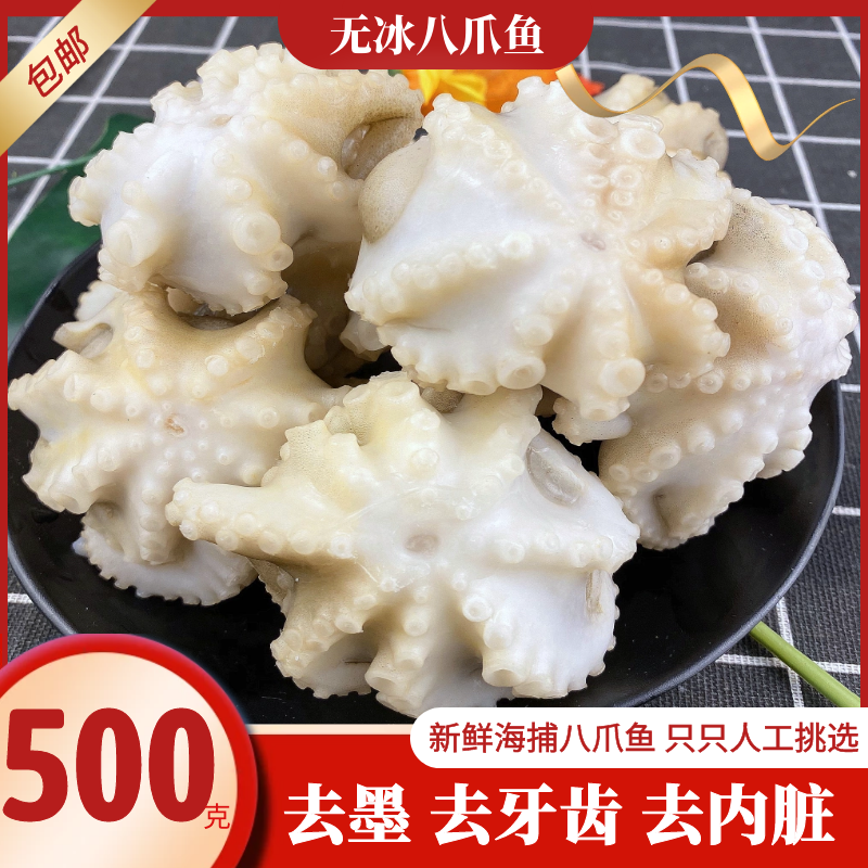 Eight Claws Fish Seafood Live Aquatic Frozen Small Octopus Mini Octopus Octopus Octopus Octopus Feet Long Legs Big Pops 500 gr